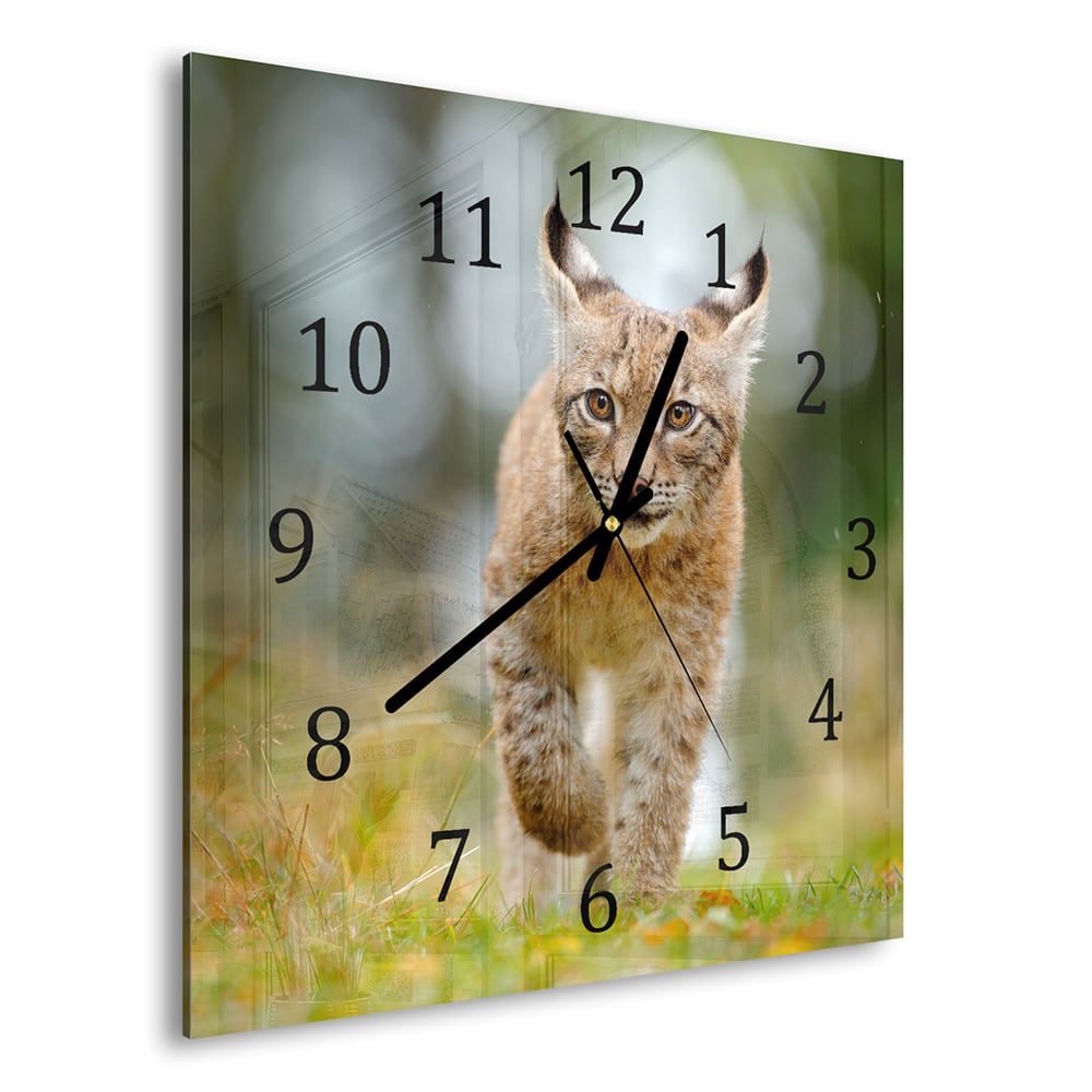 Wanduhr 30x30 - Junger Luchs