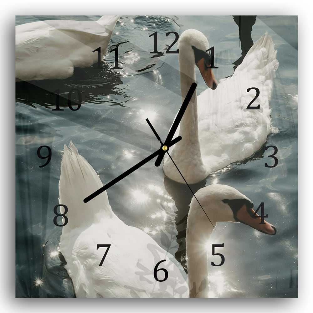 Wanduhr 30x30 - Schwäne in der Sonne