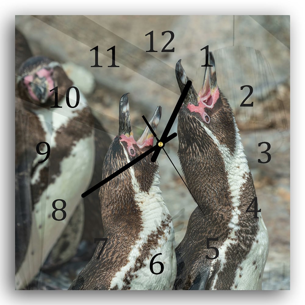 Wanduhr 30x30 - Fröhliche Pinguine