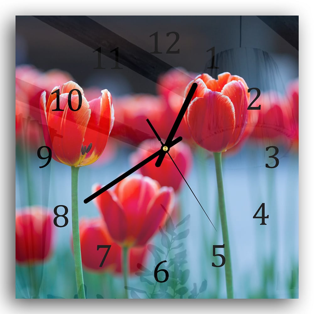 Wanduhr 30x30 - Rote Tulpen