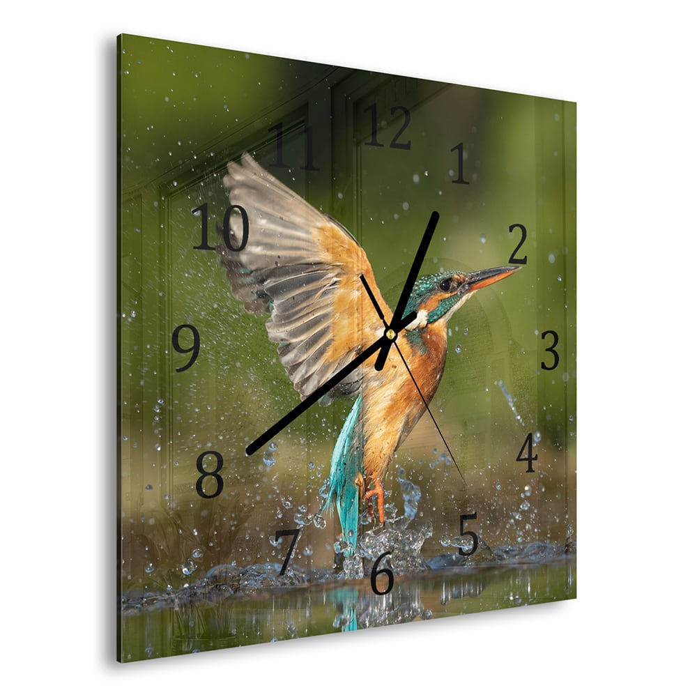 Wanduhr 30x30 - Eisvogel