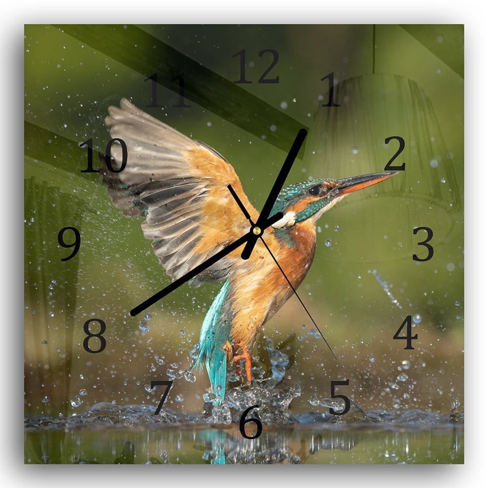 Wanduhr 30x30 - Eisvogel