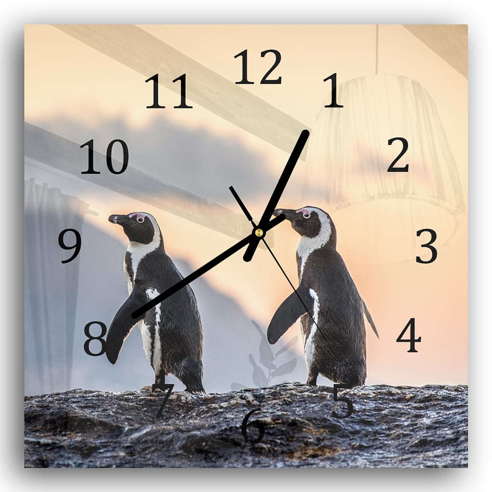 Wanduhr 30x30 - Afrikanische Pinguine