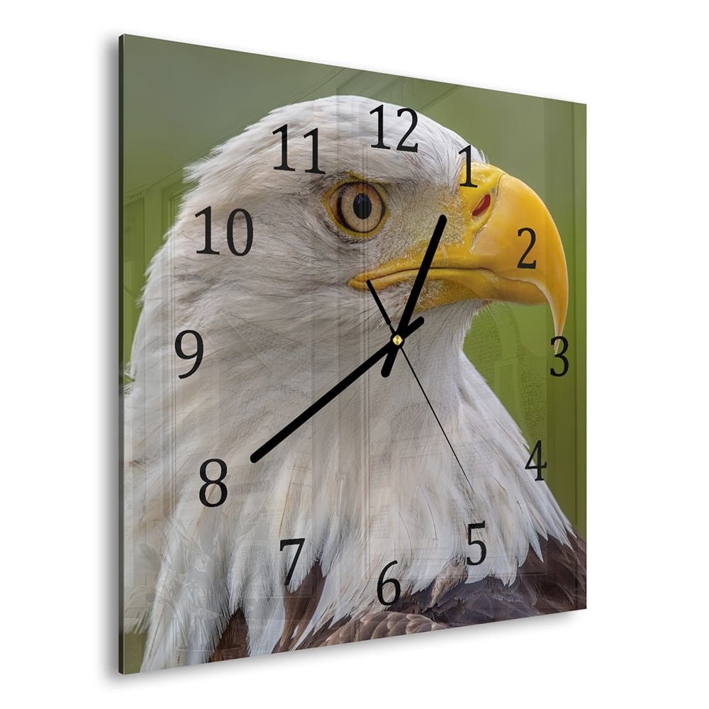 Wanduhr 30x30 - Seeadler