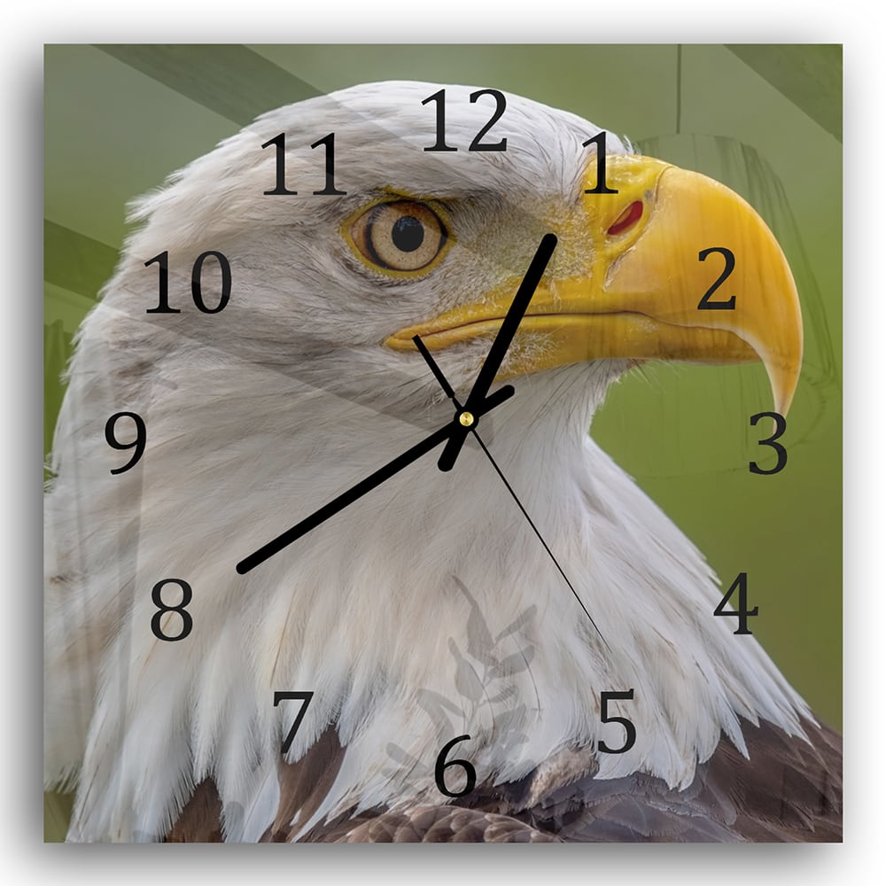 Wanduhr 30x30 - Seeadler