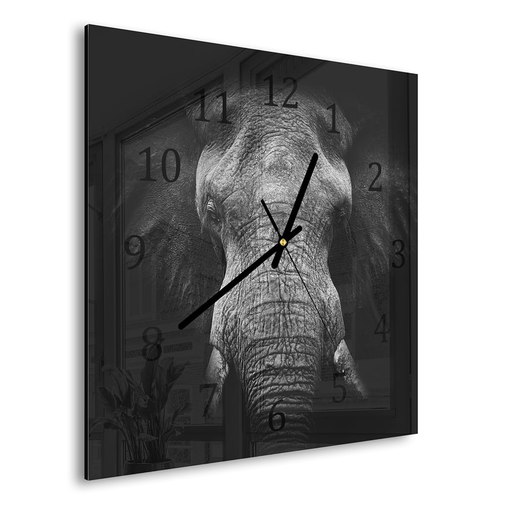 Wanduhr 30x30 - Schwarz/Weiß Elefant