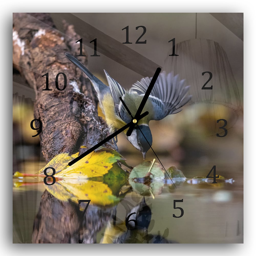 Wanduhr 30x30 - Kohlmeise am Wasser