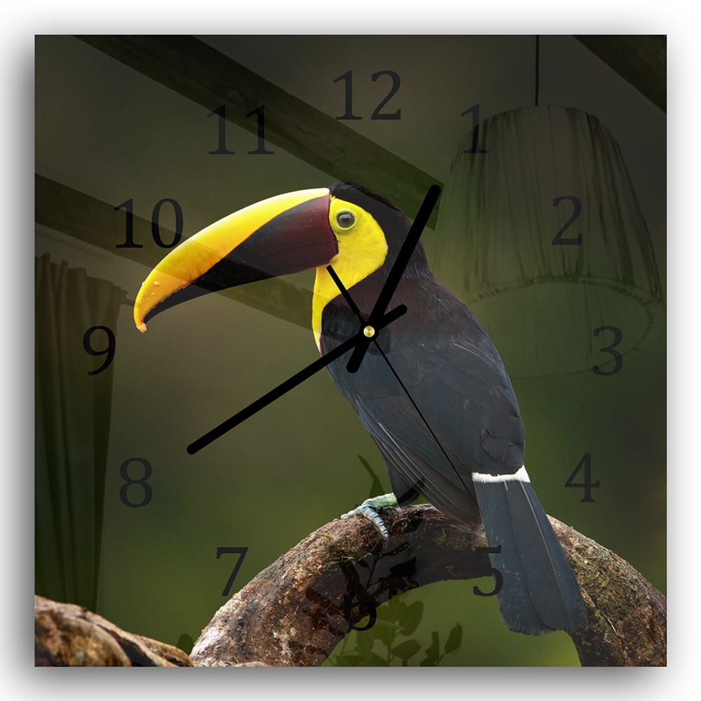 Wanduhr 30x30 - Tropischer Vogel