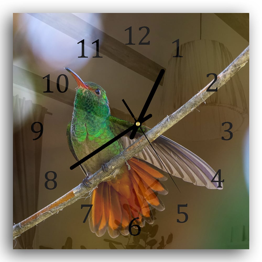 Wanduhr 30x30 - Kolibri