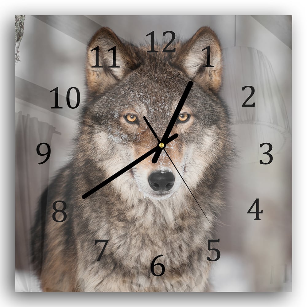 Wanduhr 30x30 - Grauer Wolf