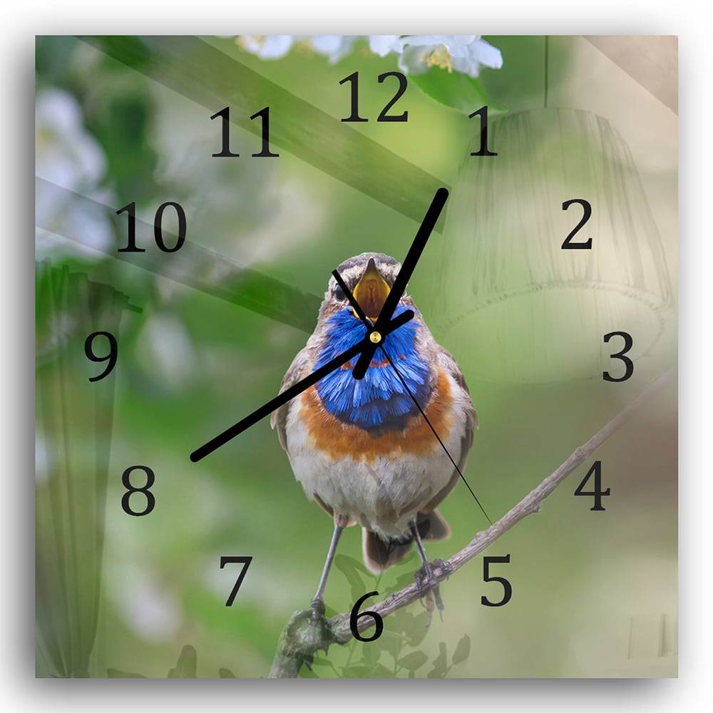 Wanduhr 30x30 - Süßes Blaukehlchen