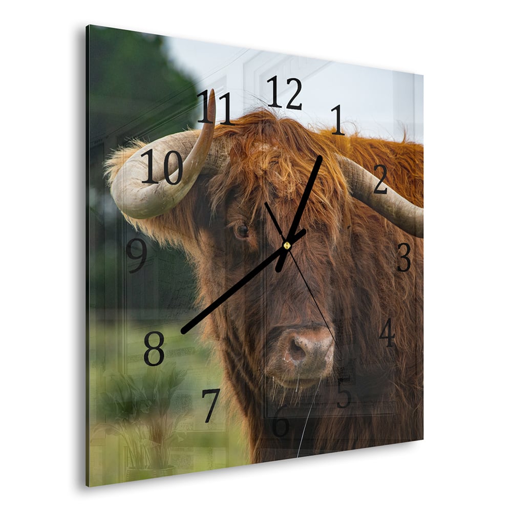 Wanduhr 30x30 - Schottisches Hochlandrind in der Natur