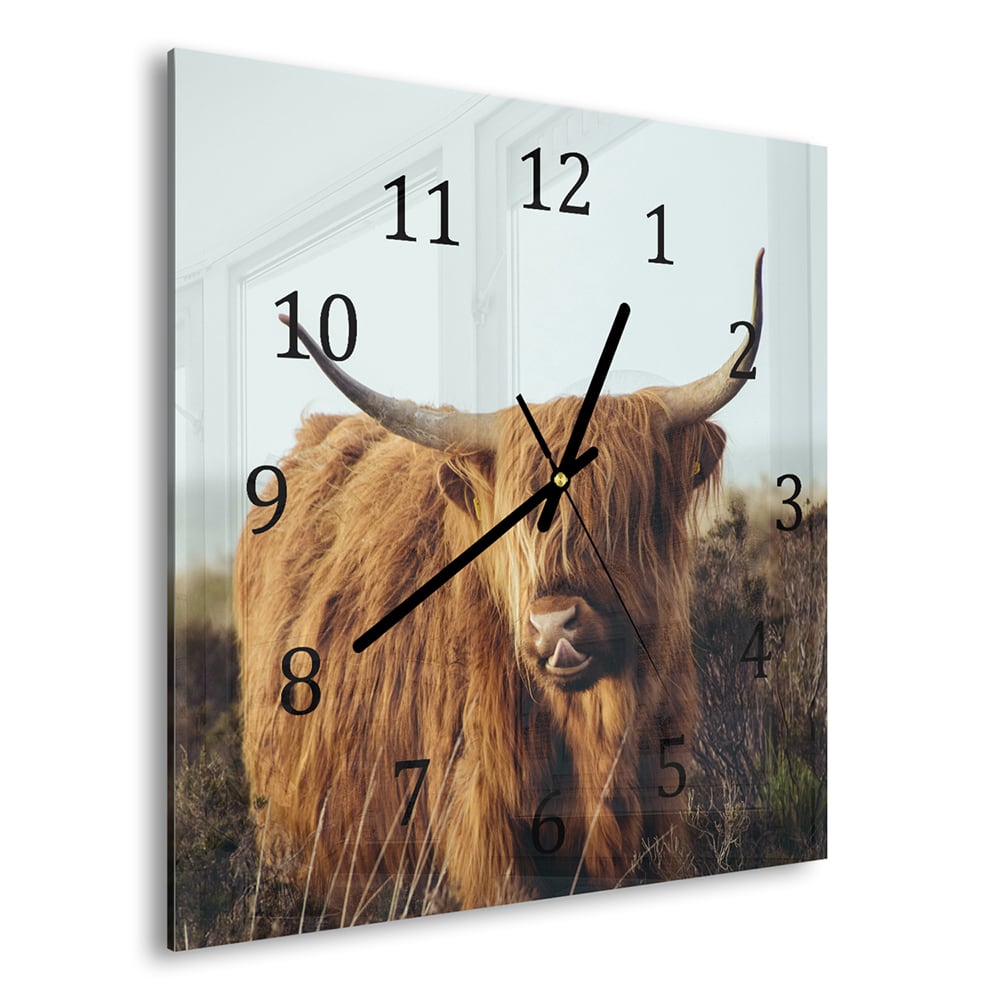 Wanduhr 30x30 - Schottisches Hochlandrind im Gras