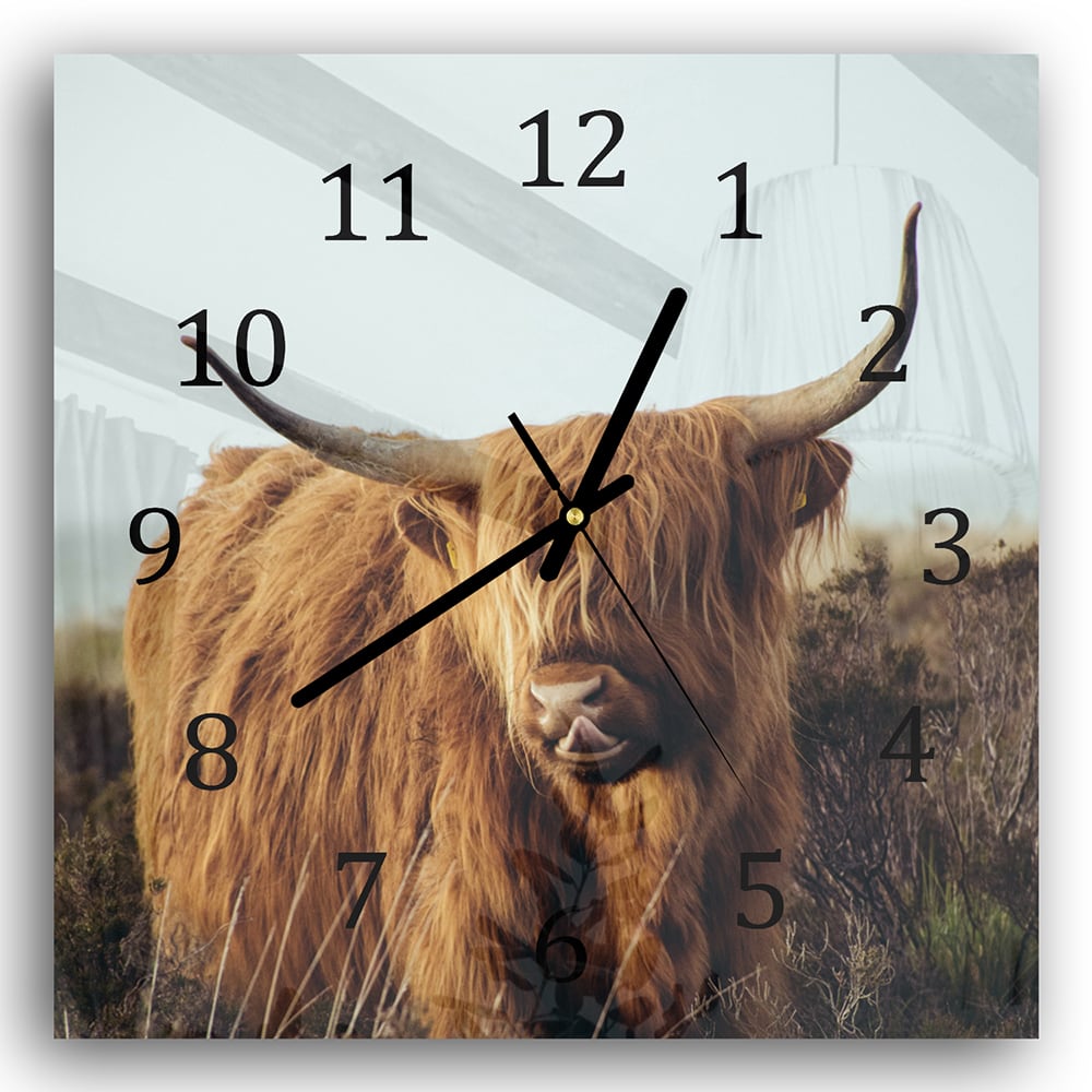 Wanduhr 30x30 - Schottisches Hochlandrind im Gras