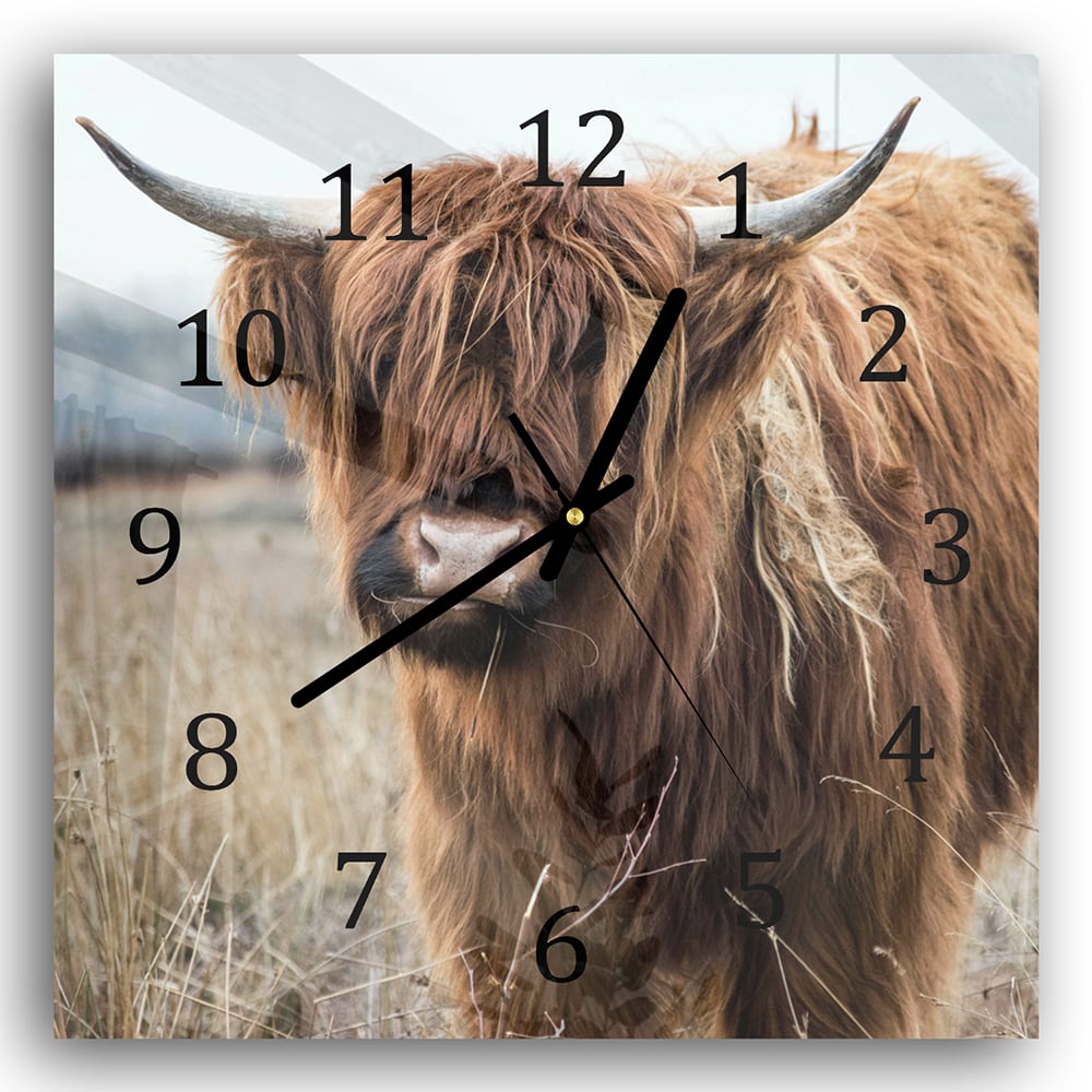 Wanduhr 30x30 - Wilde Hochlandrinder