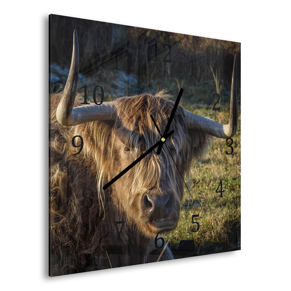 Wanduhr 30x30 - Schottisches Hochlandrind in der Sonne