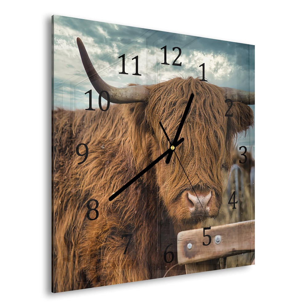 Wanduhr 30x30 - Schottisches Hochlandrind auf der Weide