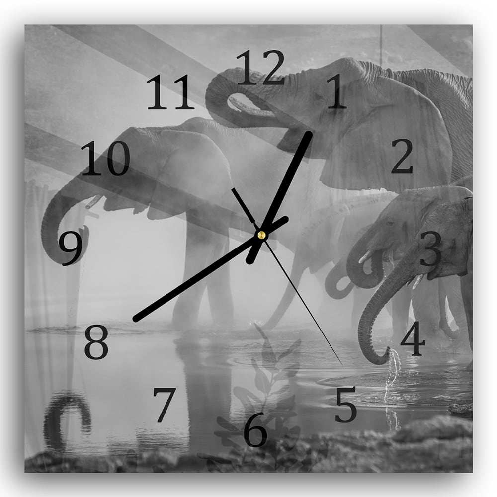 Wanduhr 30x30 - Schwarz-weiß Elefanten