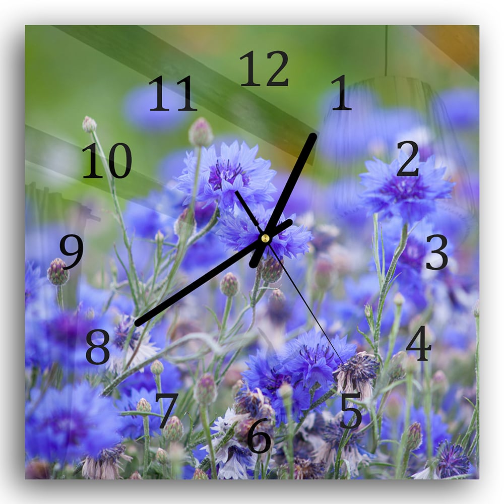 Wanduhr 30x30 - Kornblumen in Blüte