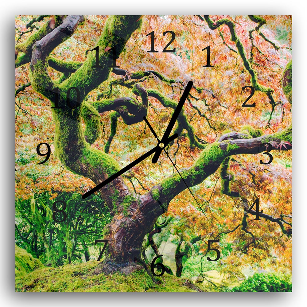 Wanduhr 30x30 - Moosiger Baum im Herbst