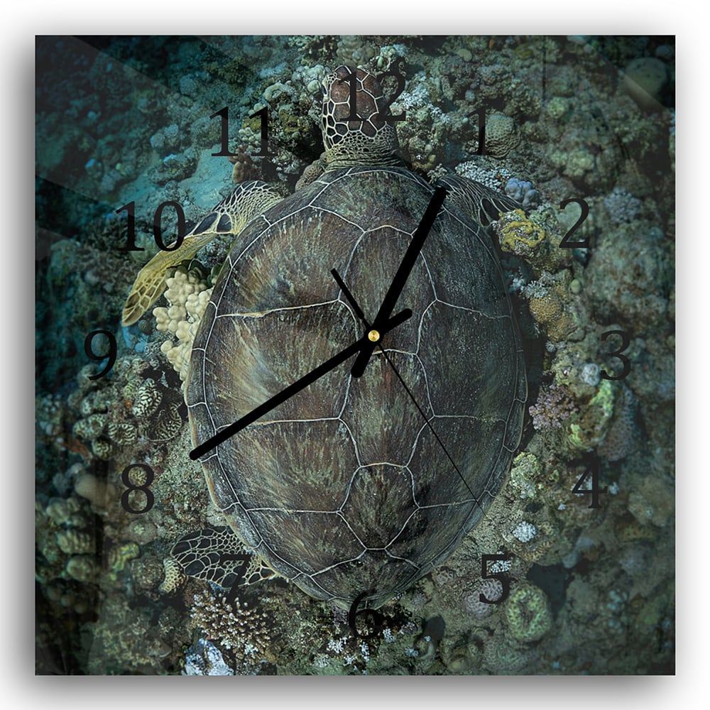 Wanduhr 30x30 - Schildkröte und Korallen