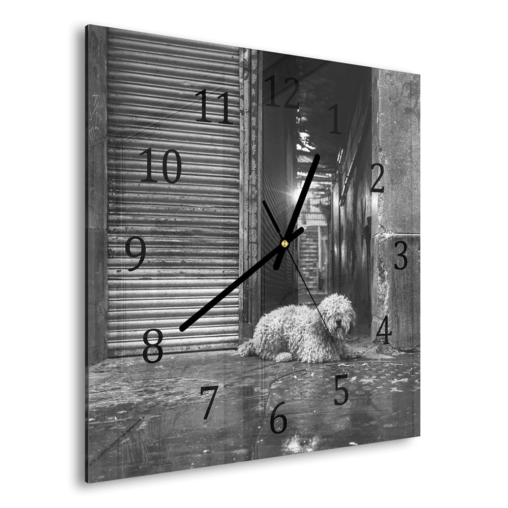Wanduhr 30x30 - Schwarz-weiß Hund auf der Straße