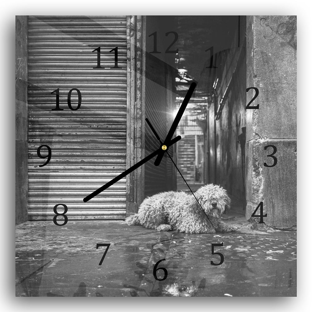 Wanduhr 30x30 - Schwarz-weiß Hund auf der Straße