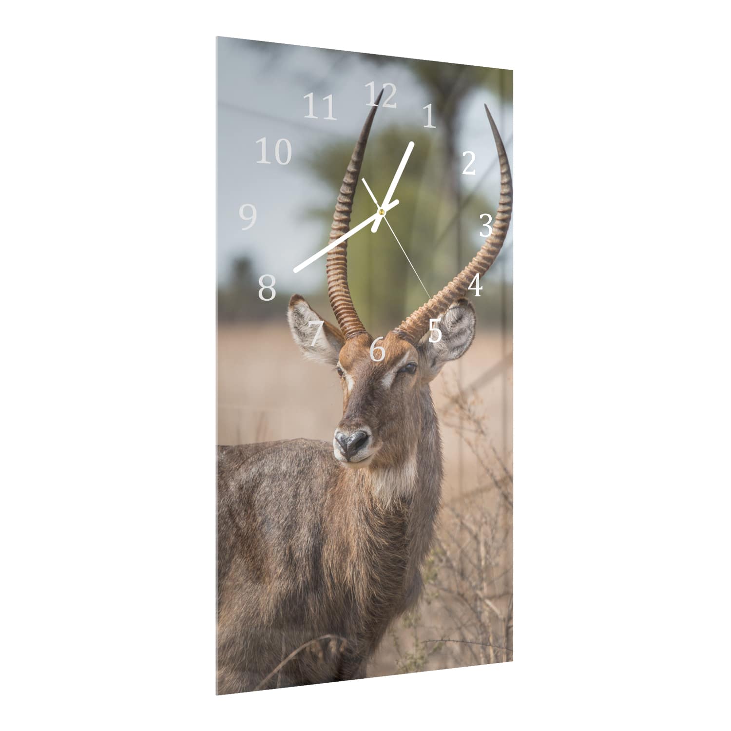 Wanduhr 30x60 - Wasserbock