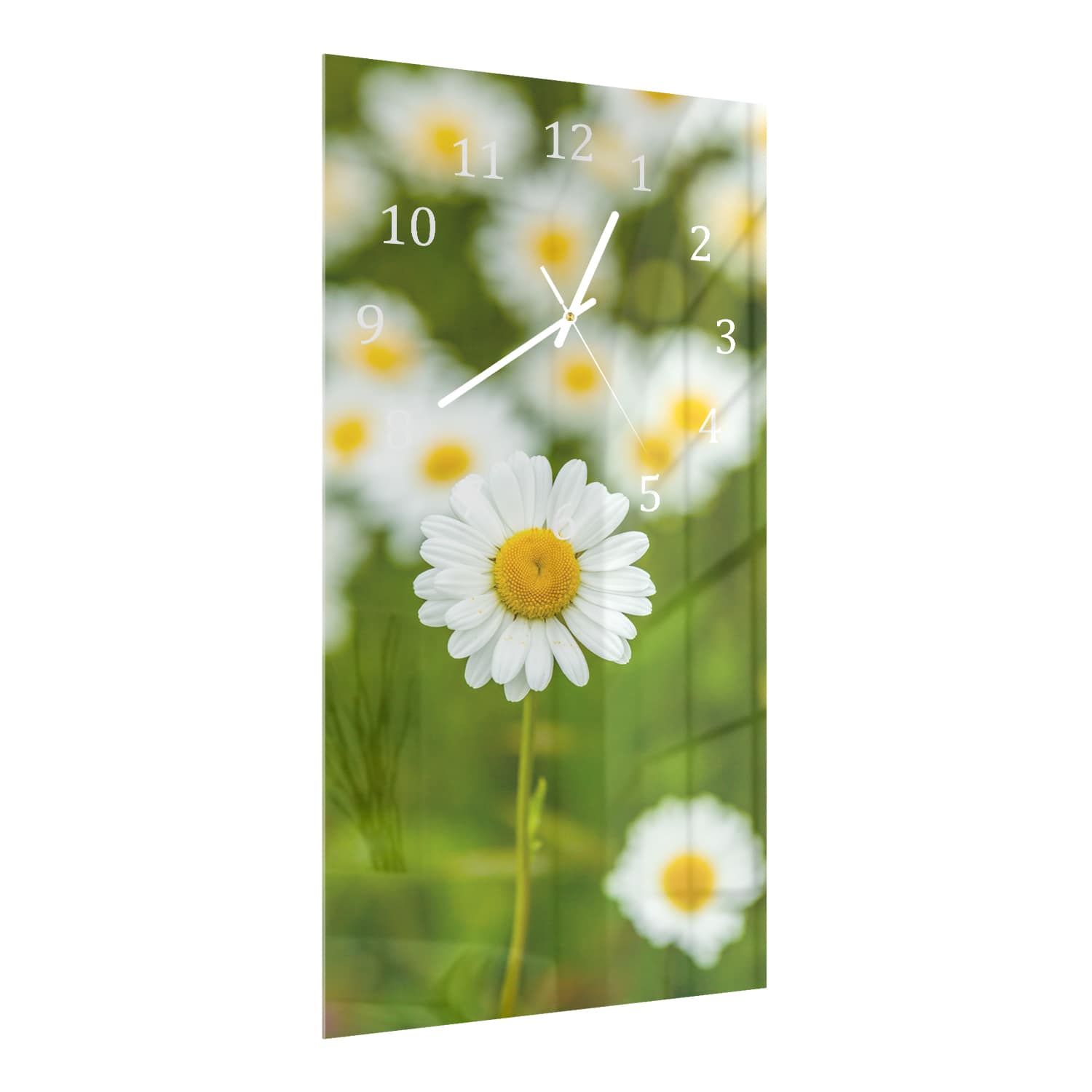 Wanduhr 30x60 - Feld von Gänseblümchen