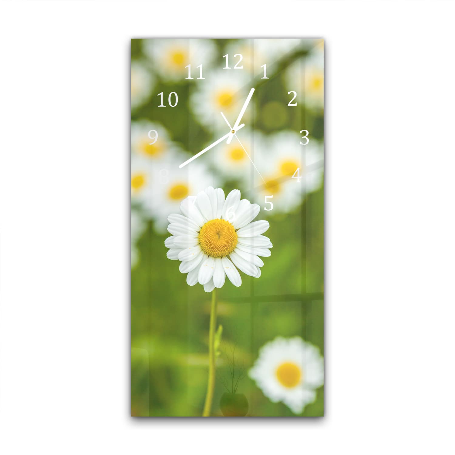 Wanduhr 30x60 - Feld von Gänseblümchen