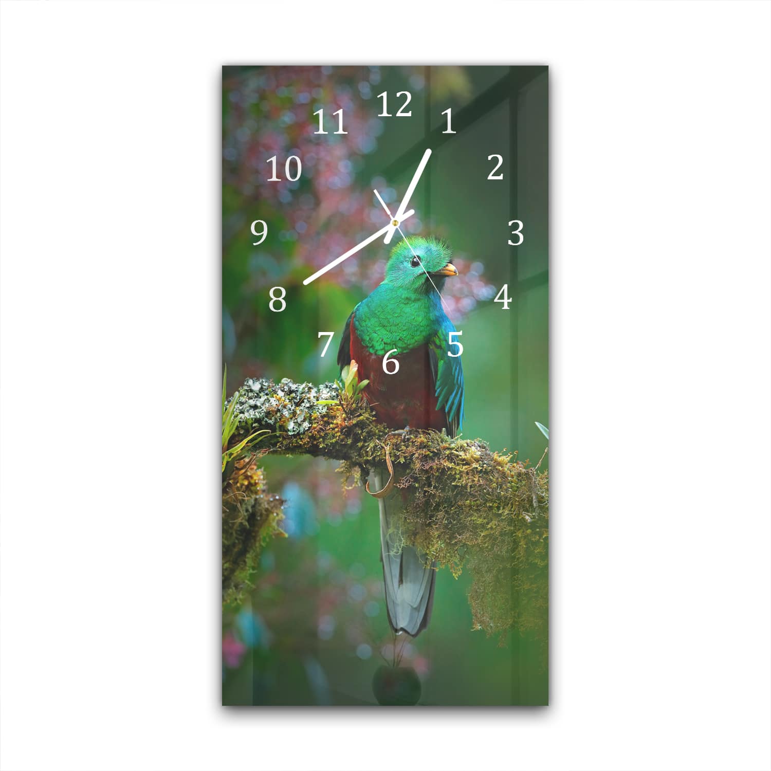Wanduhr 30x60 - Quetzal-Vogel