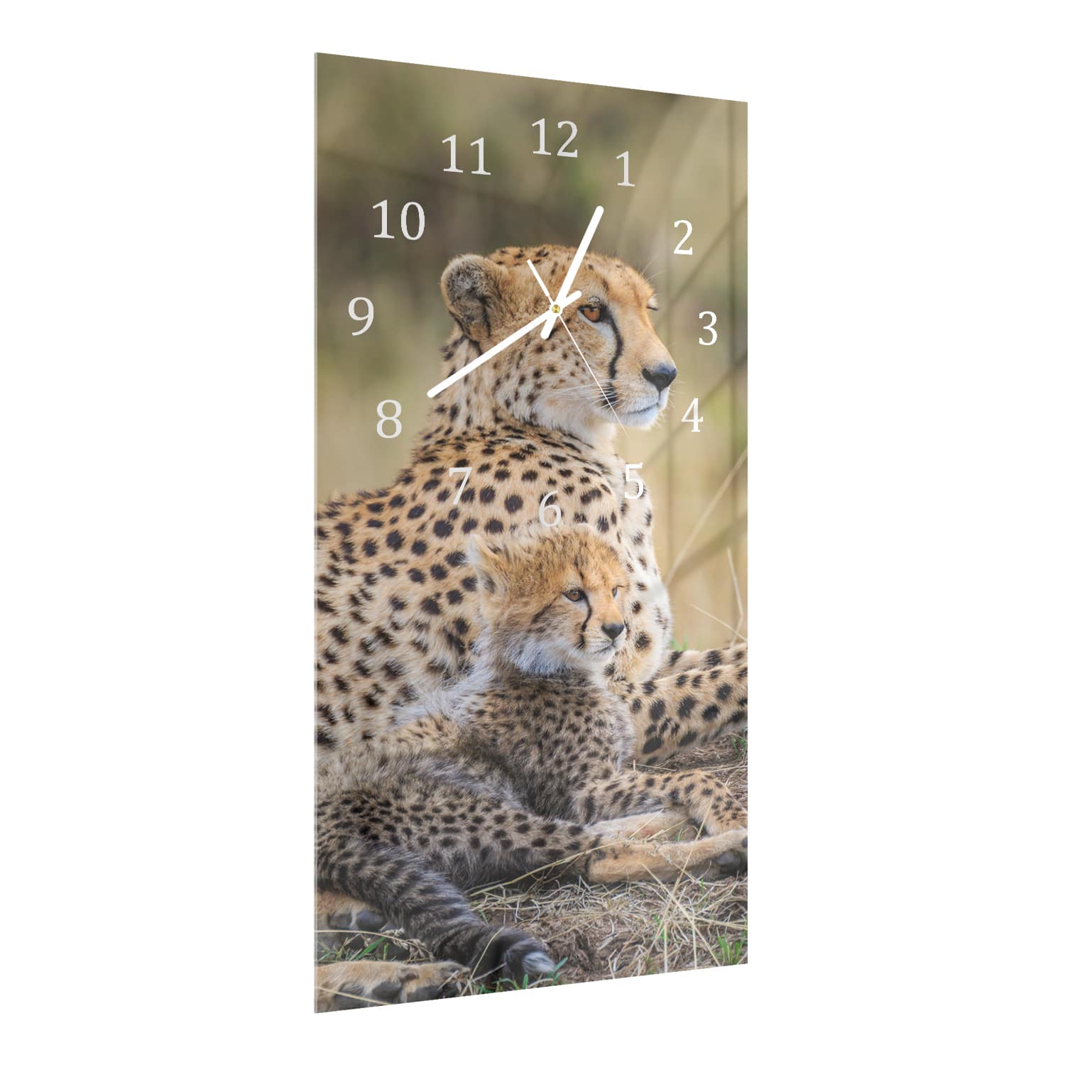 Wanduhr 30x60 - Gepard mit Jungtier