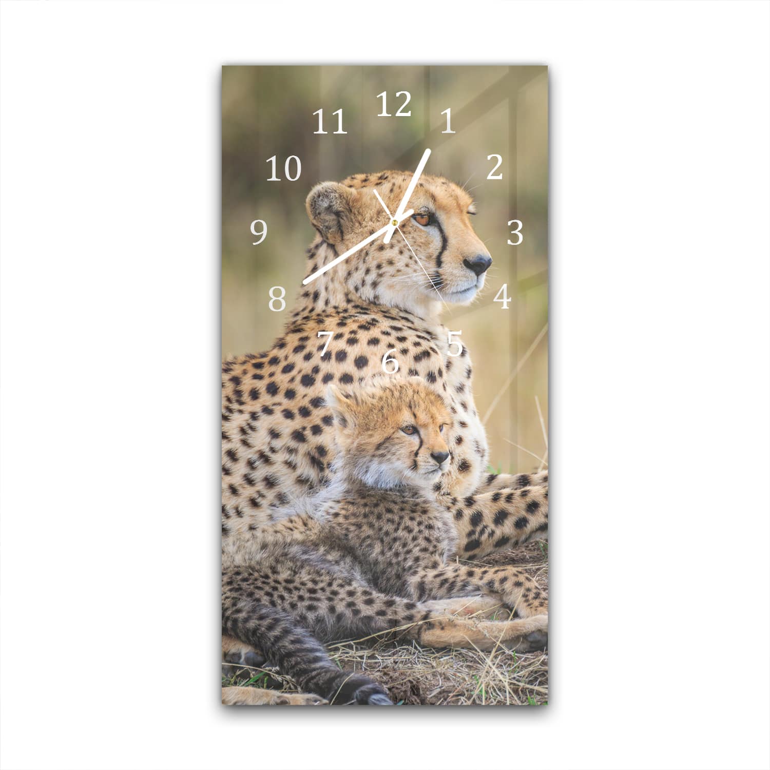 Wanduhr 30x60 - Gepard mit Jungtier
