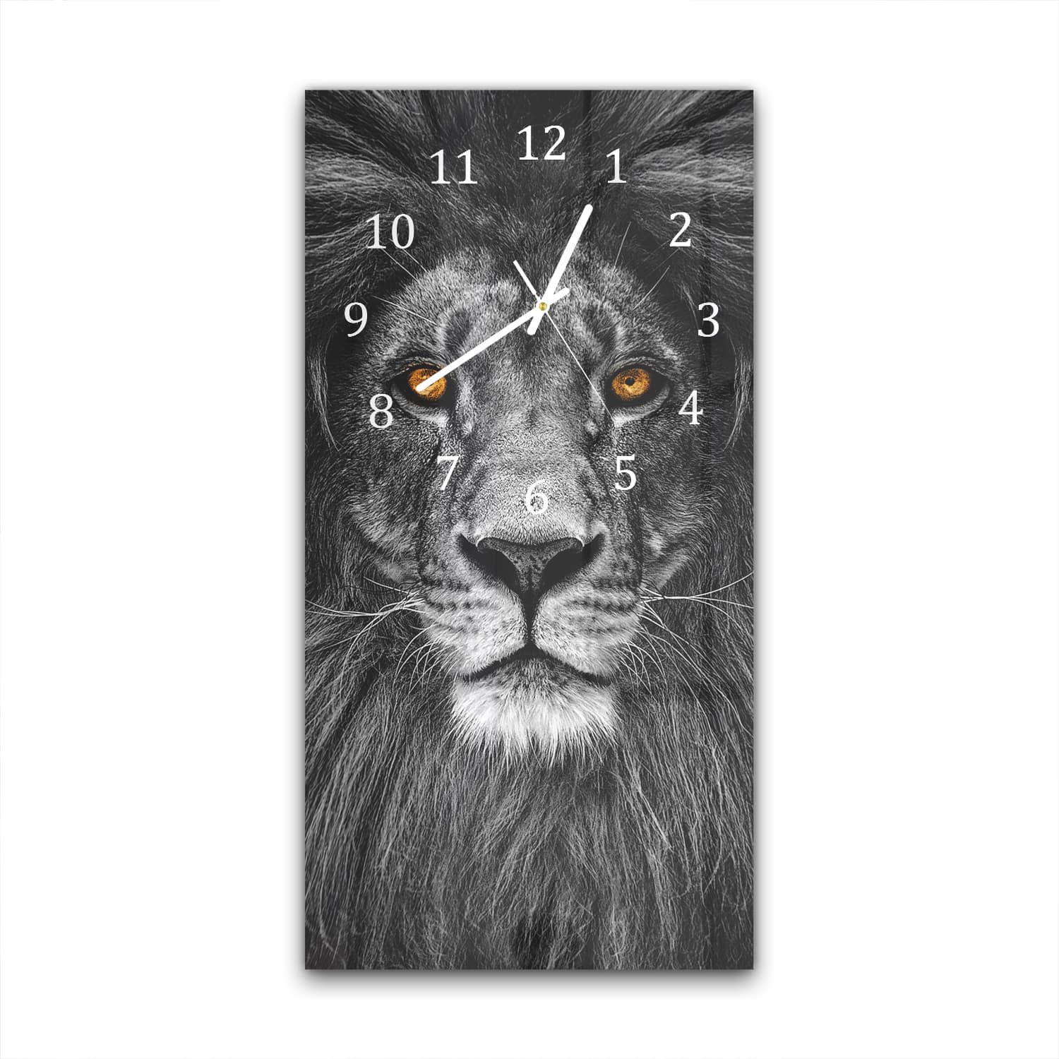 Wanduhr 30x60 - Löwenporträt im Dunkeln