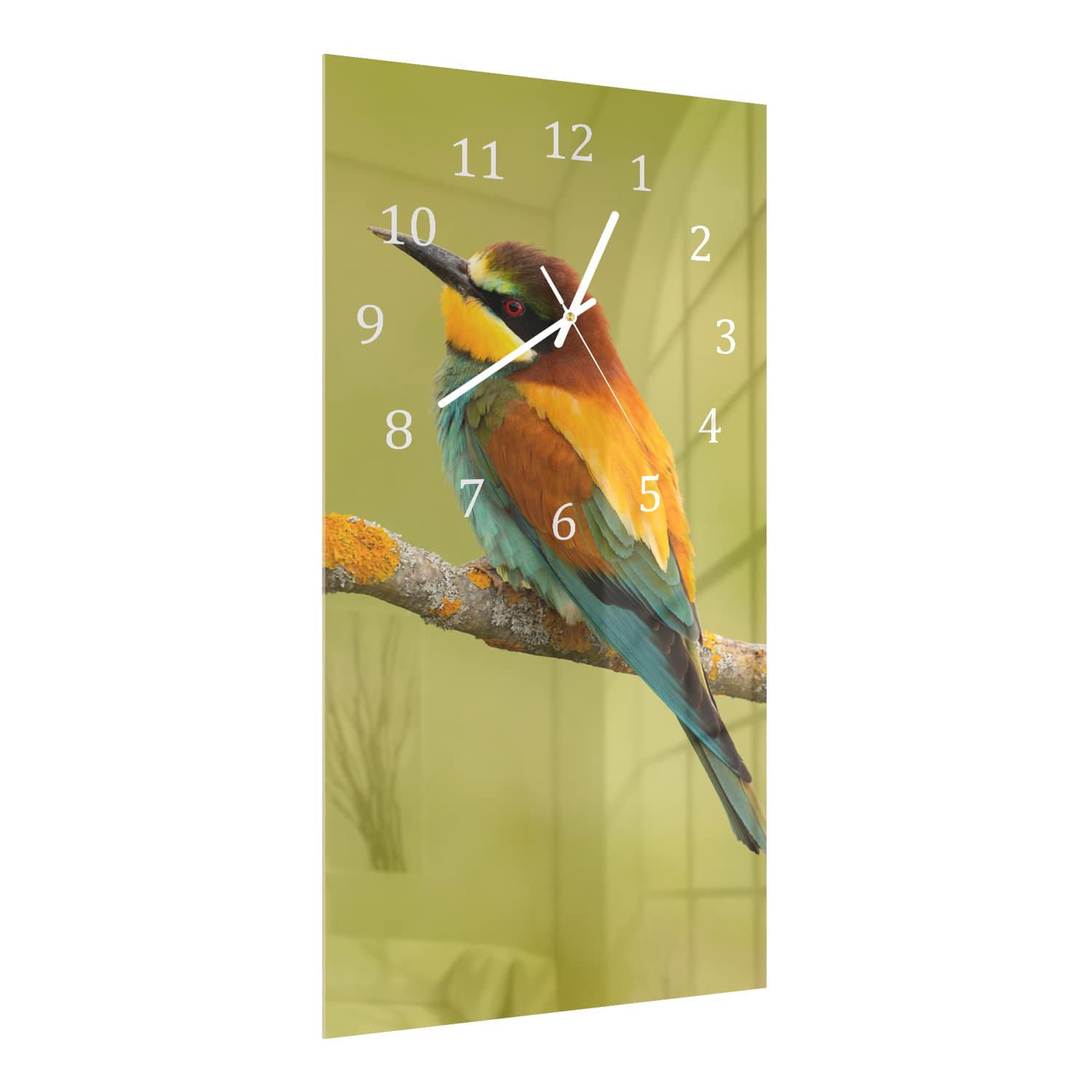 Wanduhr 30x60 - Bunter Vogel