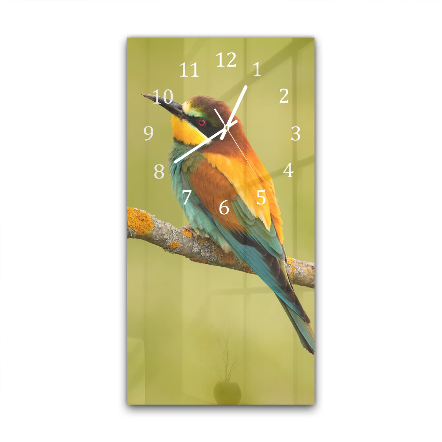 Wanduhr 30x60 - Bunter Vogel