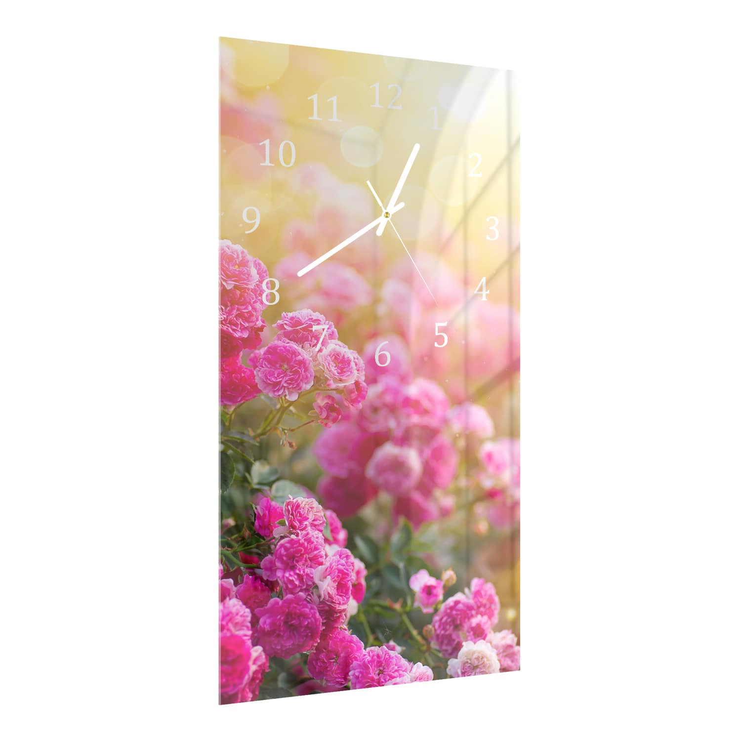Wanduhr 30x60 - Rosen in der Morgensonne