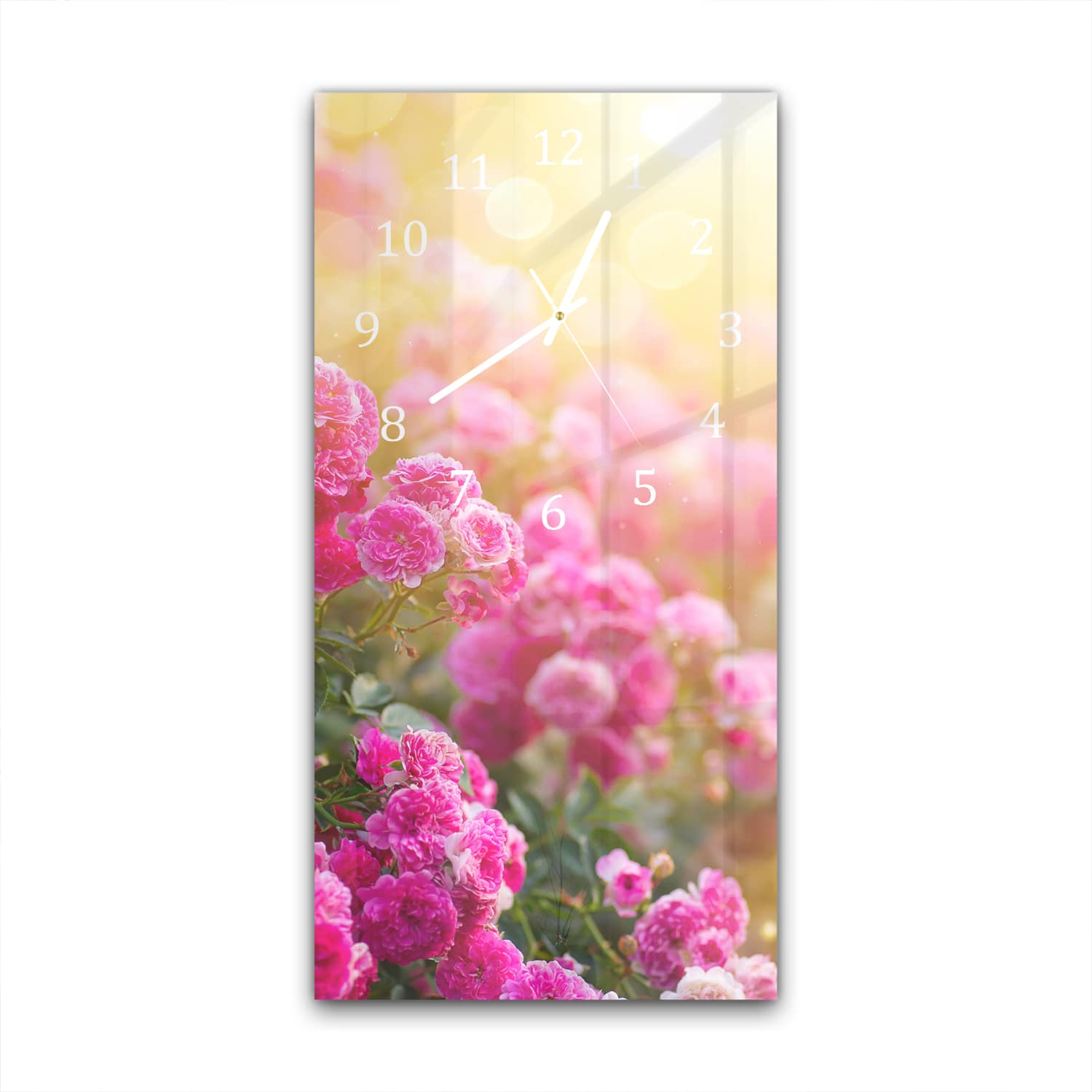 Wanduhr 30x60 - Rosen in der Morgensonne