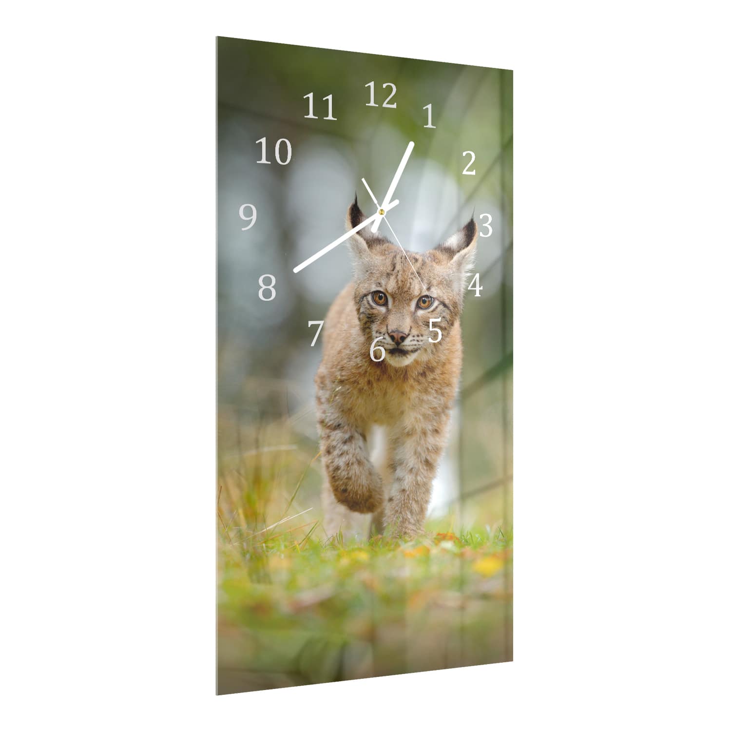 Wanduhr 30x60 - Junger Luchs