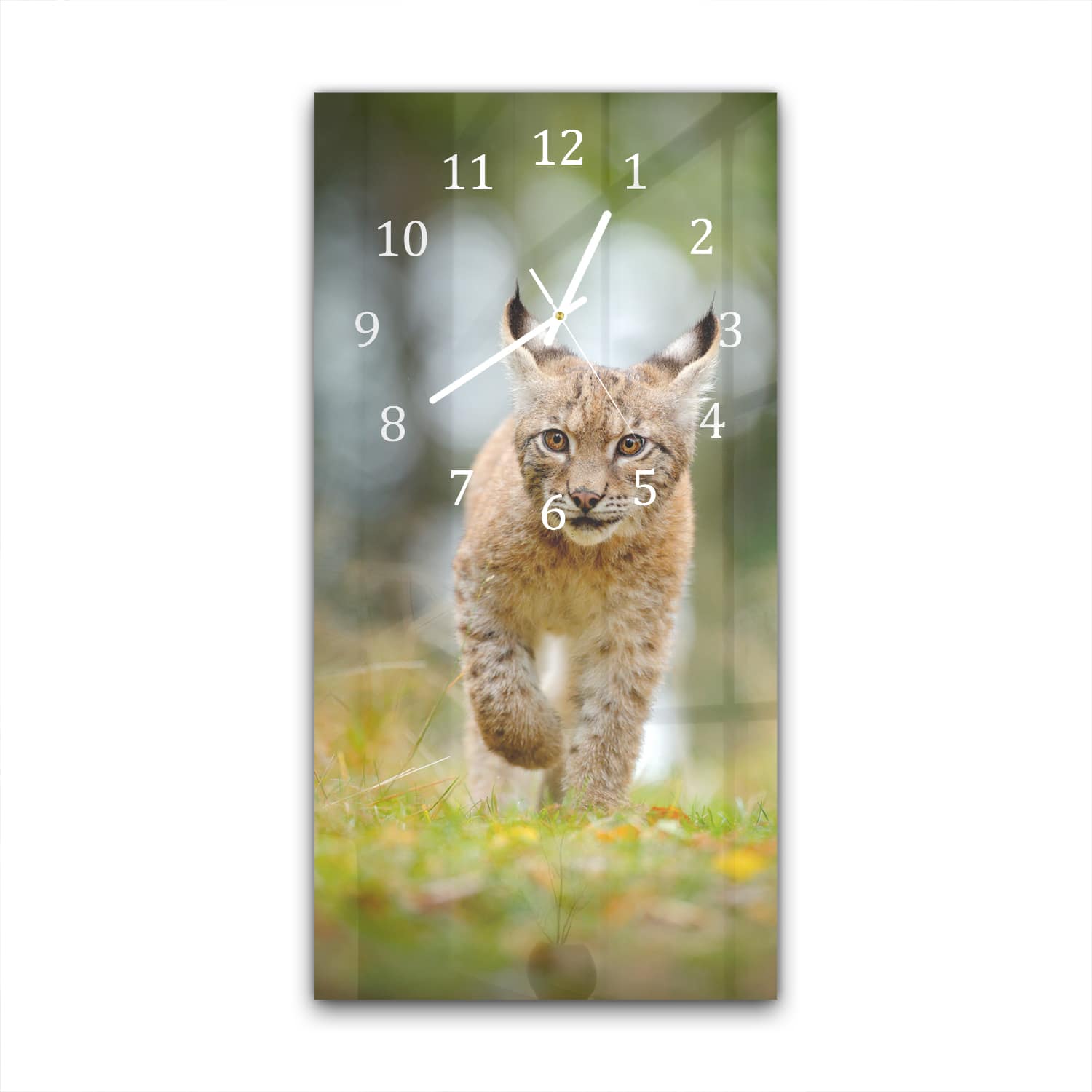 Wanduhr 30x60 - Junger Luchs