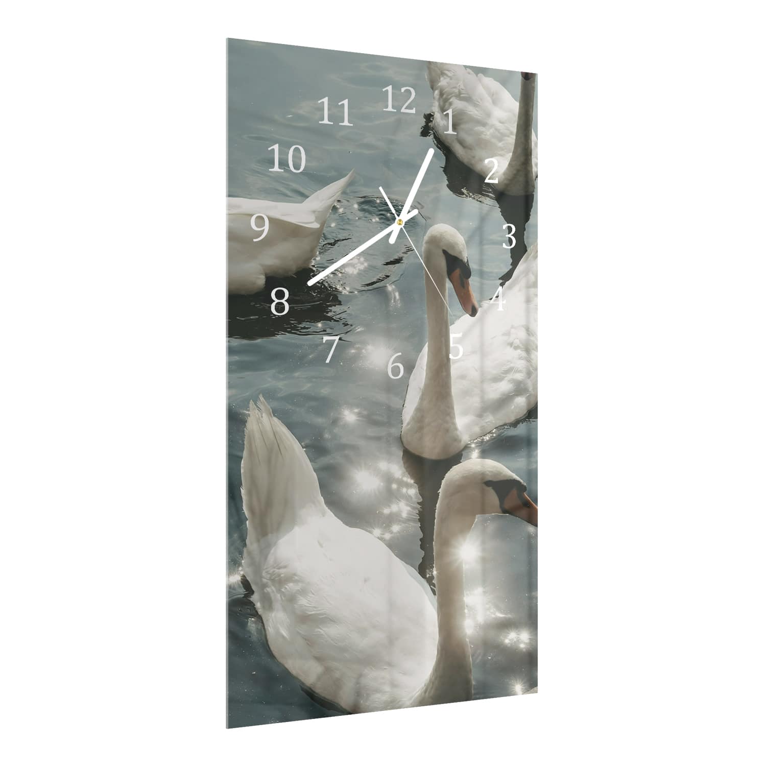 Wanduhr 30x60 - Schwäne in der Sonne