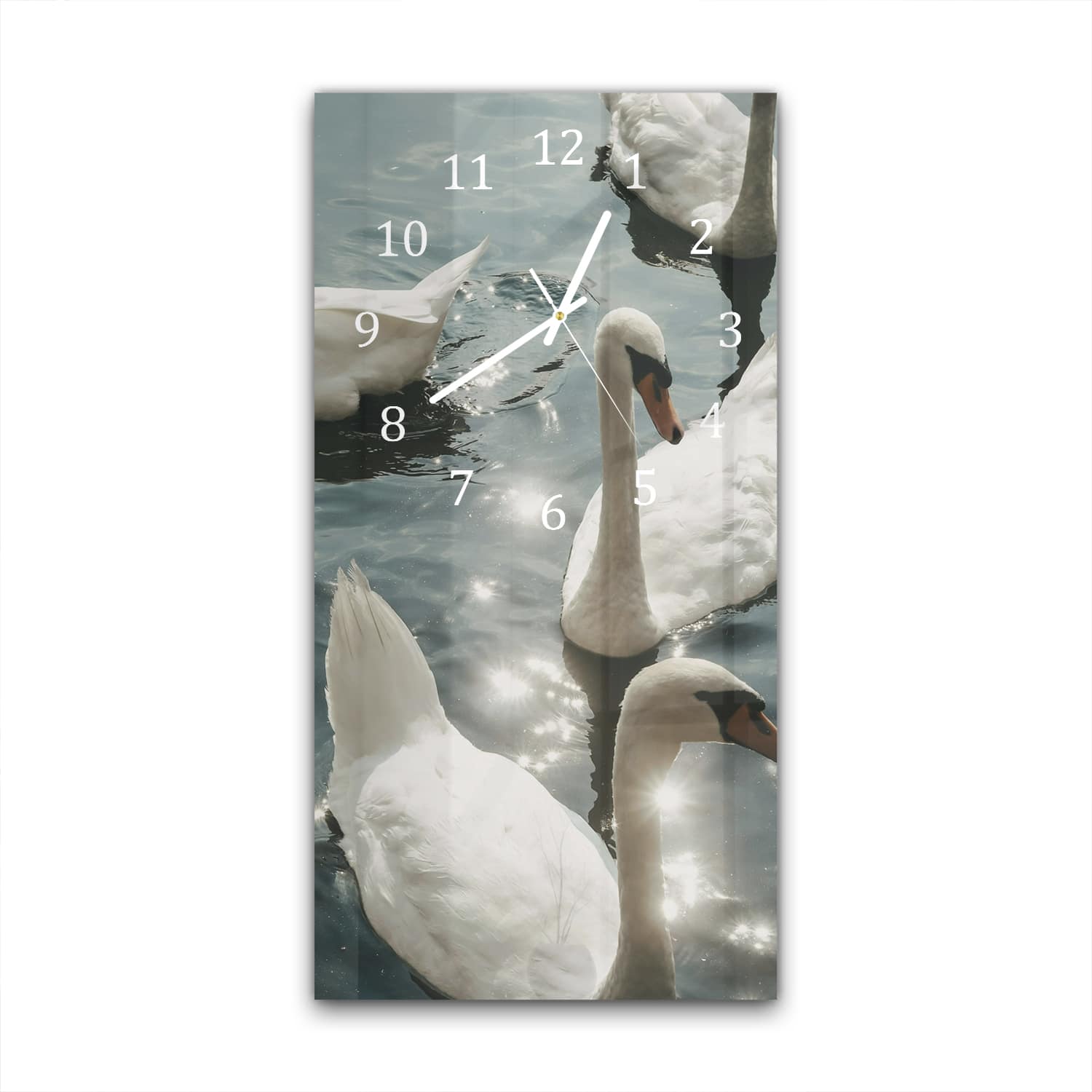 Wanduhr 30x60 - Schwäne in der Sonne