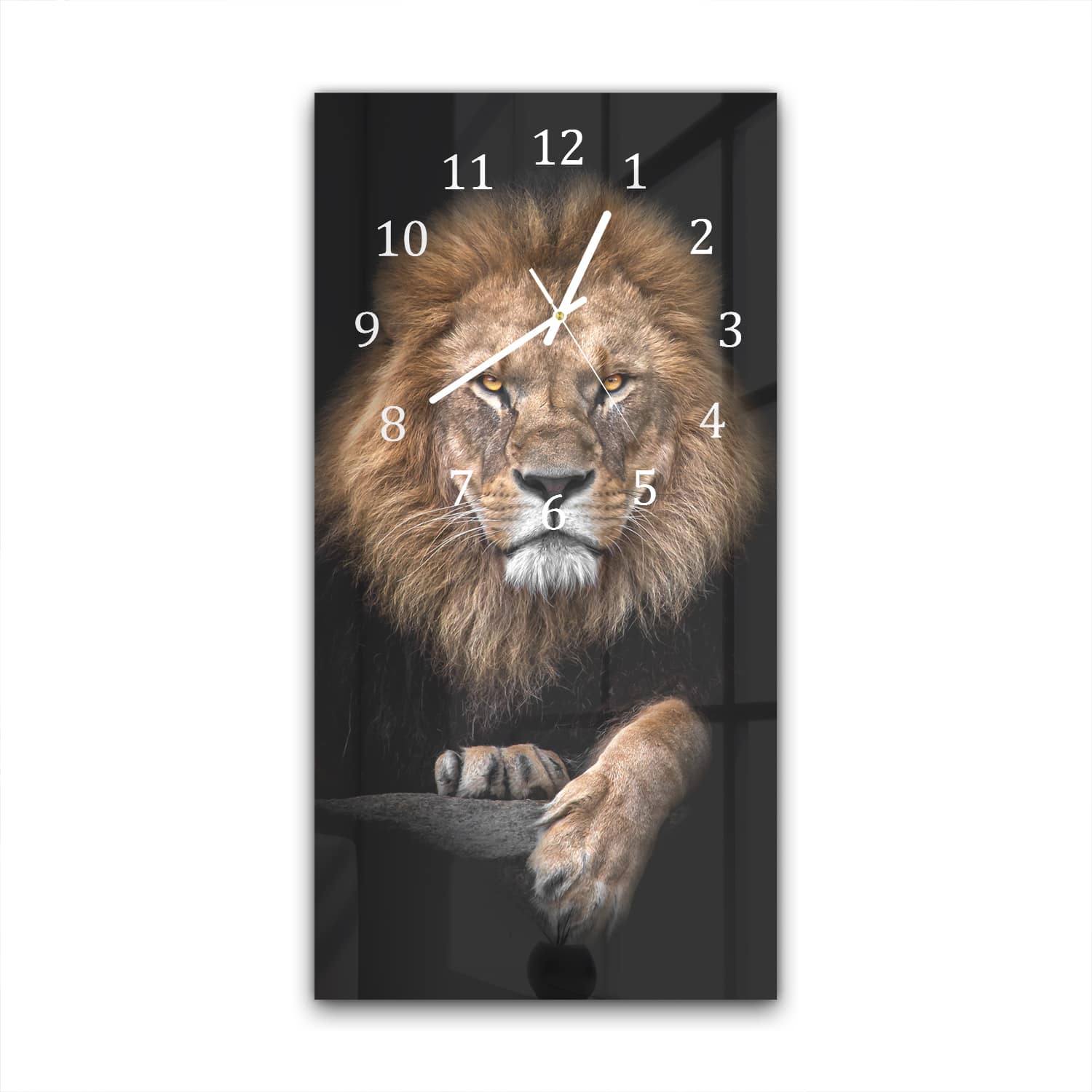 Wanduhr 30x60 - Löwe im Dunkeln