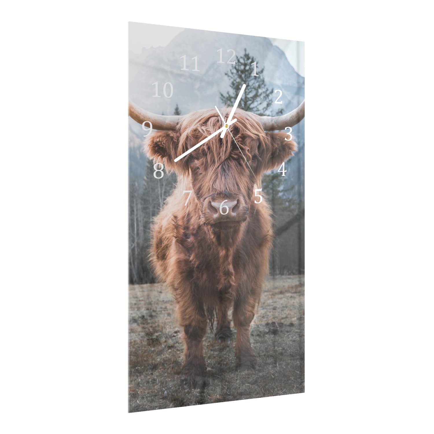 Wanduhr 30x60 - Schottisches Hochlandrind in den Dolomiten