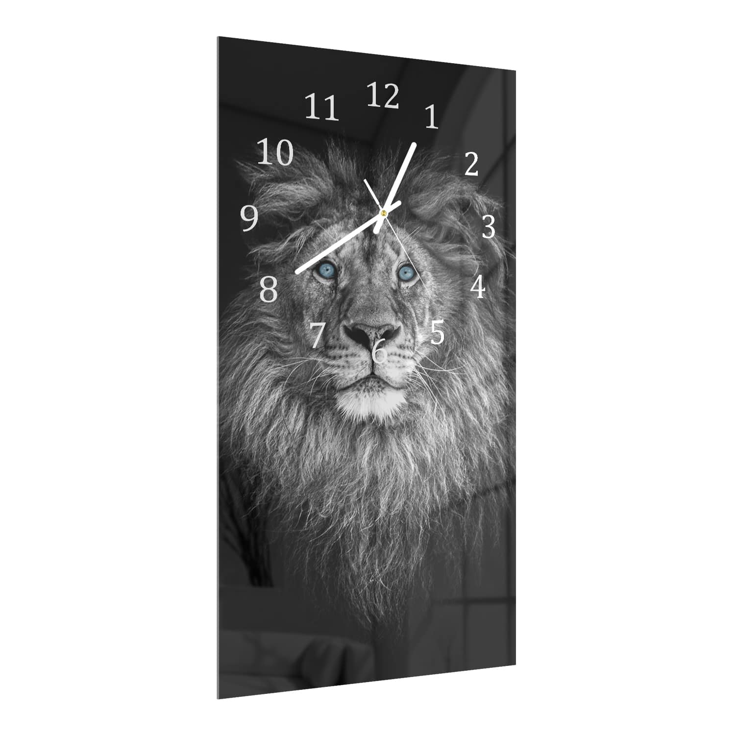 Wanduhr 30x60 - Löwe mit blauen Augen
