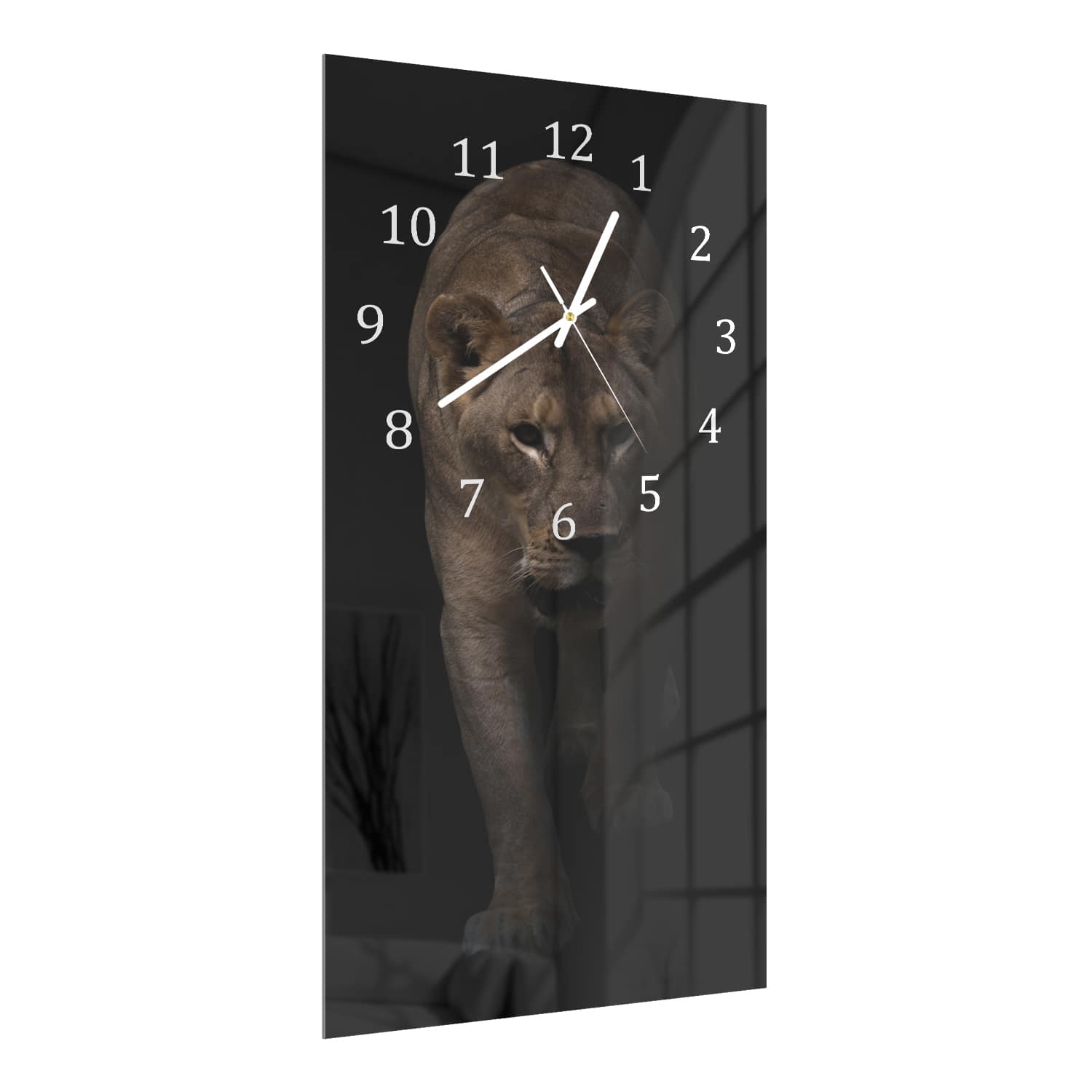 Wanduhr 30x60 - Weiblicher Löwe im Dunkeln