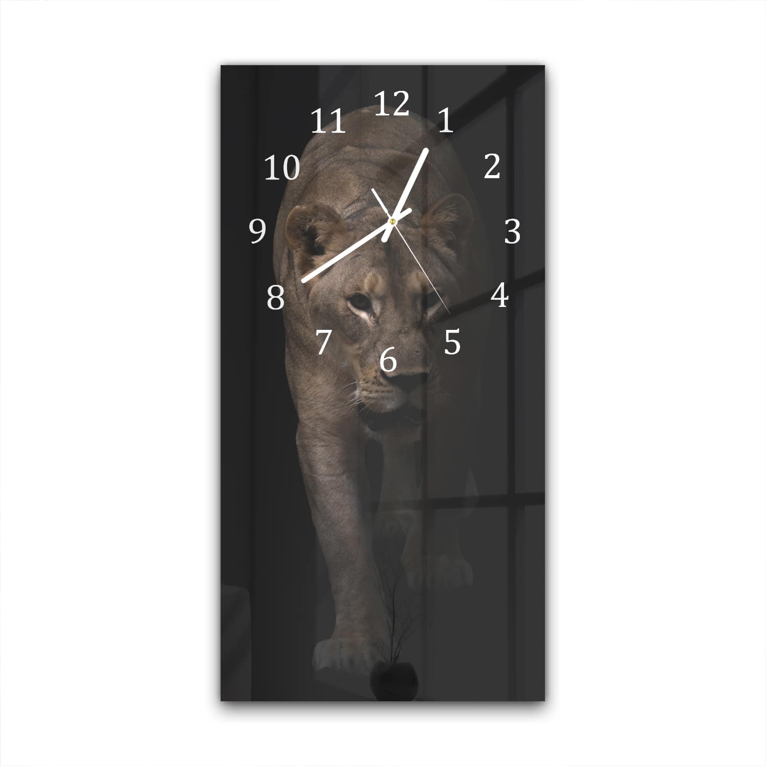 Wanduhr 30x60 - Weiblicher Löwe im Dunkeln