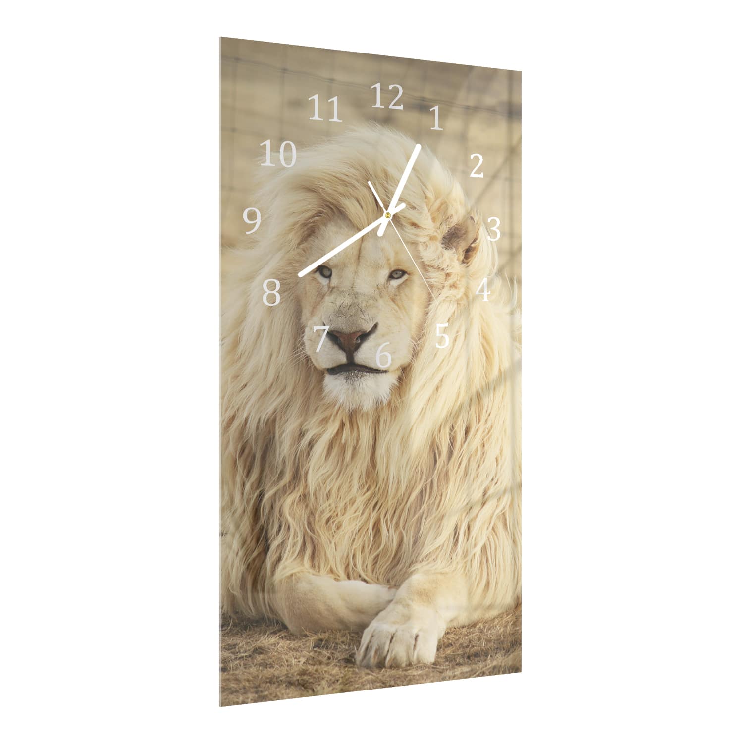 Wanduhr 30x60 - Weißer Löwe