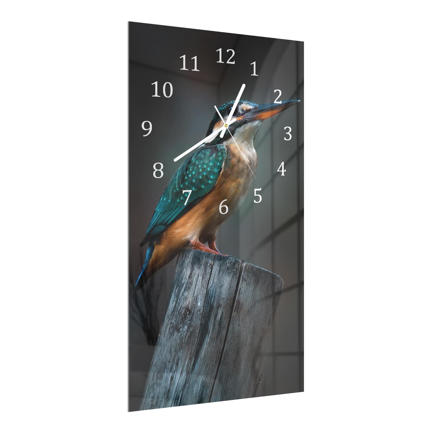 Wanduhr 30x60 - Kleiner Eisvogel