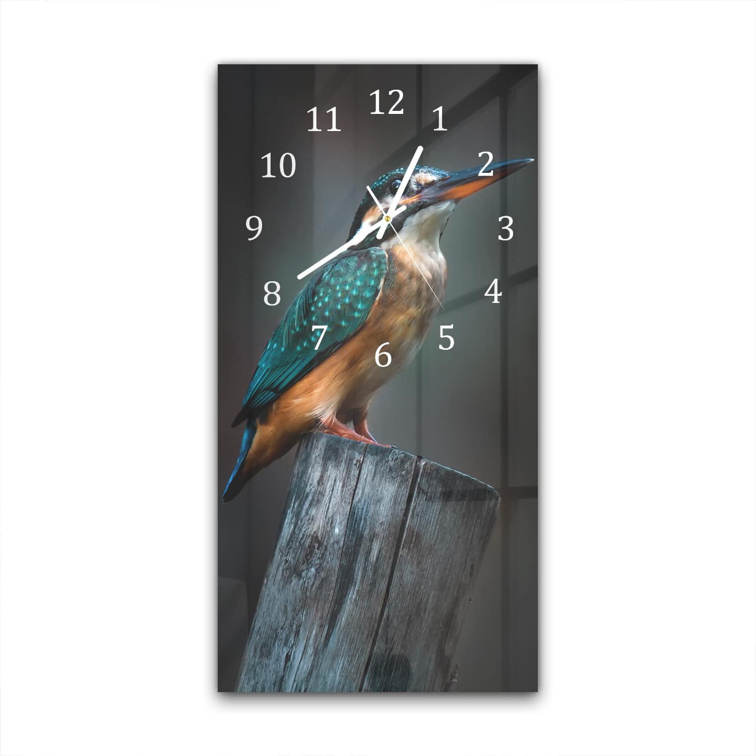 Wanduhr 30x60 - Kleiner Eisvogel